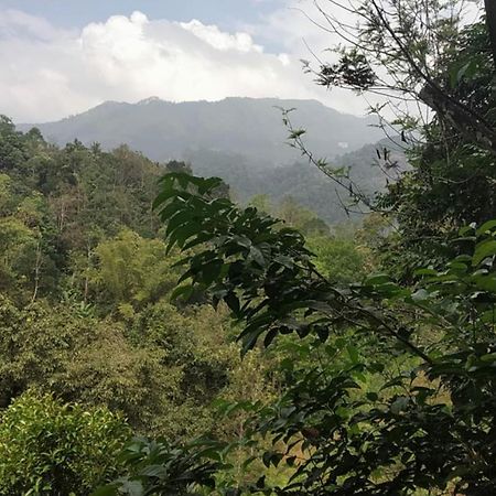 Moselberg Riverside Cottages Munnar Quarto foto