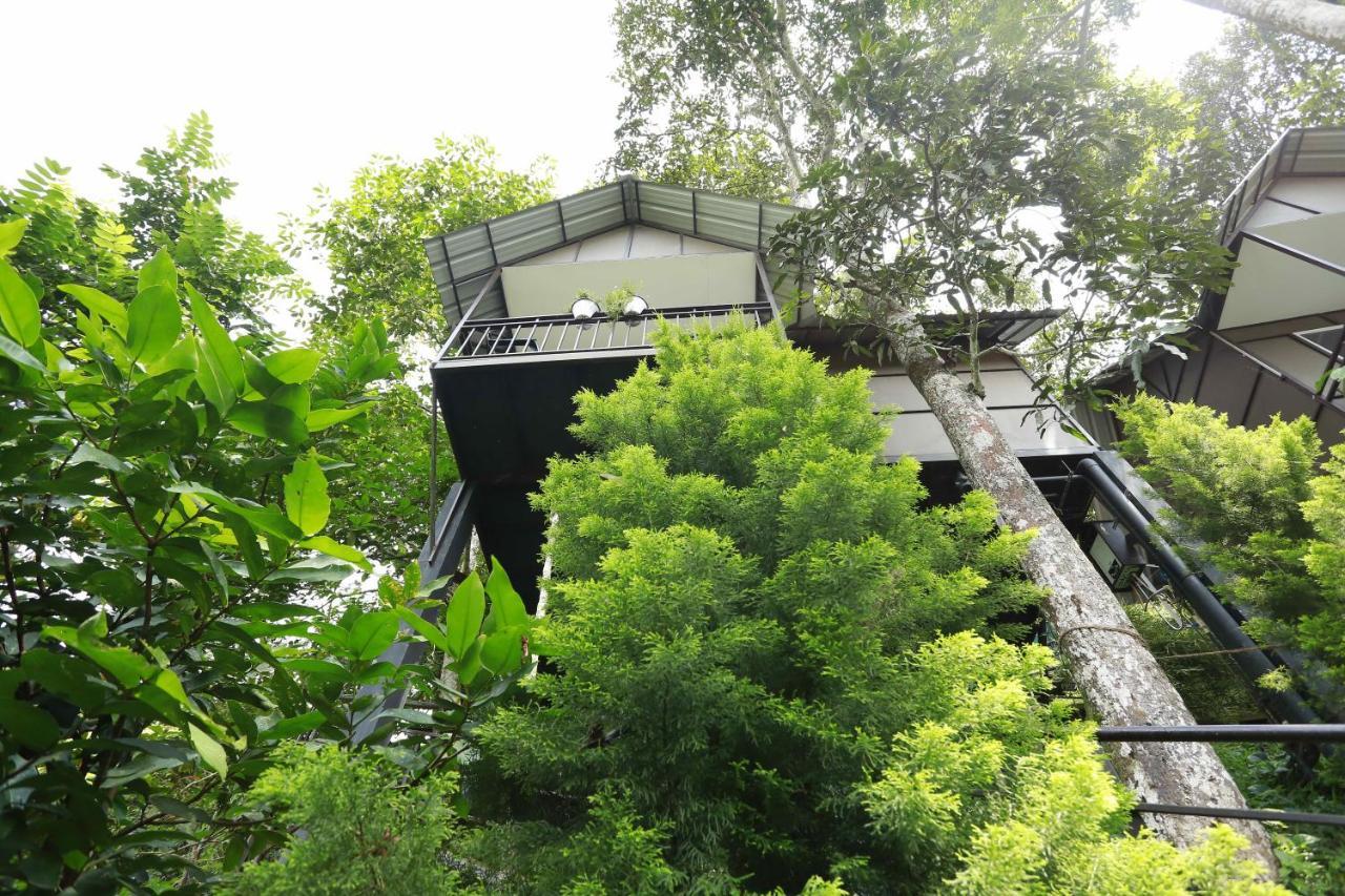 Moselberg Riverside Cottages Munnar Exterior foto