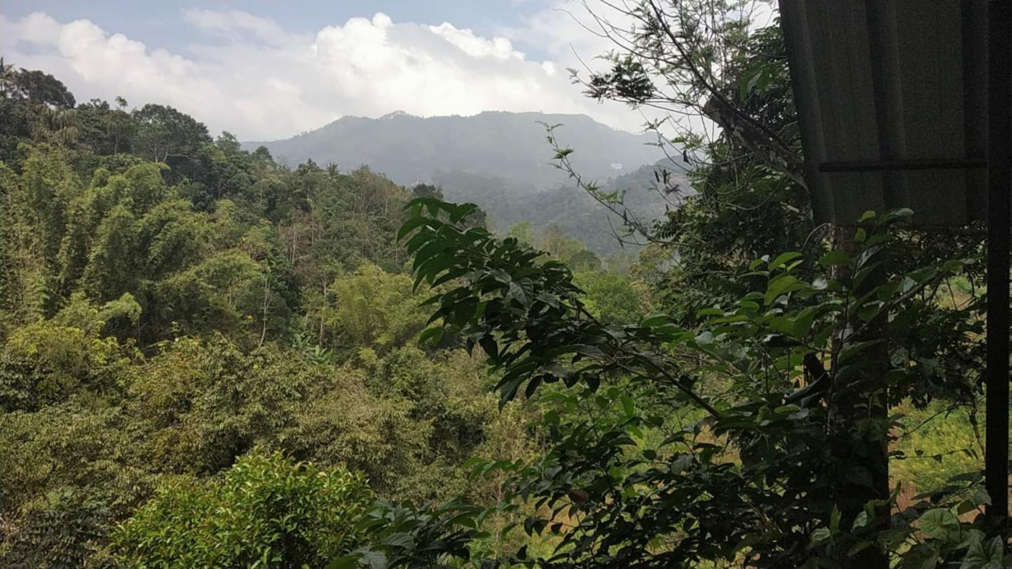 Moselberg Riverside Cottages Munnar Quarto foto