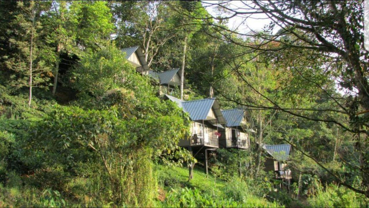 Moselberg Riverside Cottages Munnar Exterior foto